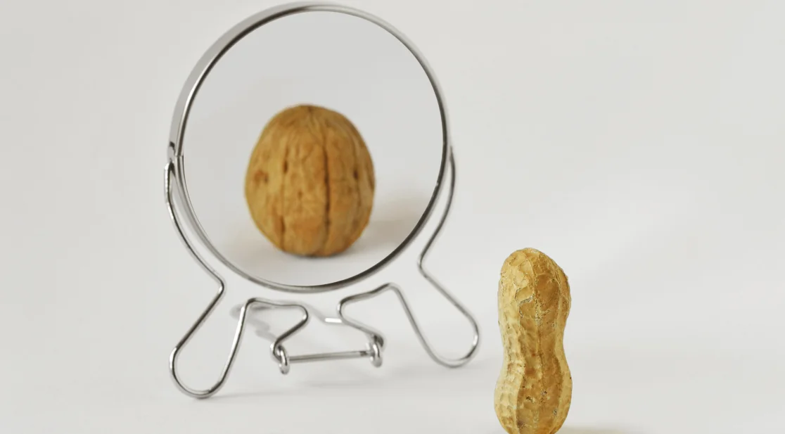 Schmuckbild Erdnuss im Spiegel