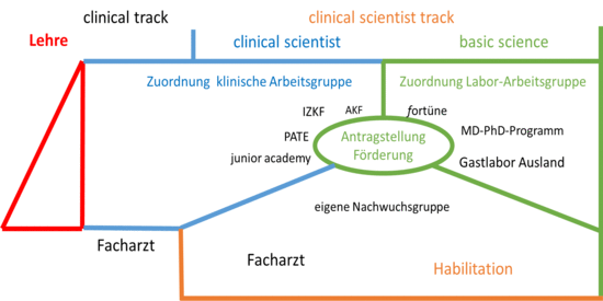 Grafik zur Weiterbildung, Inhalt wie im Text beschrieben